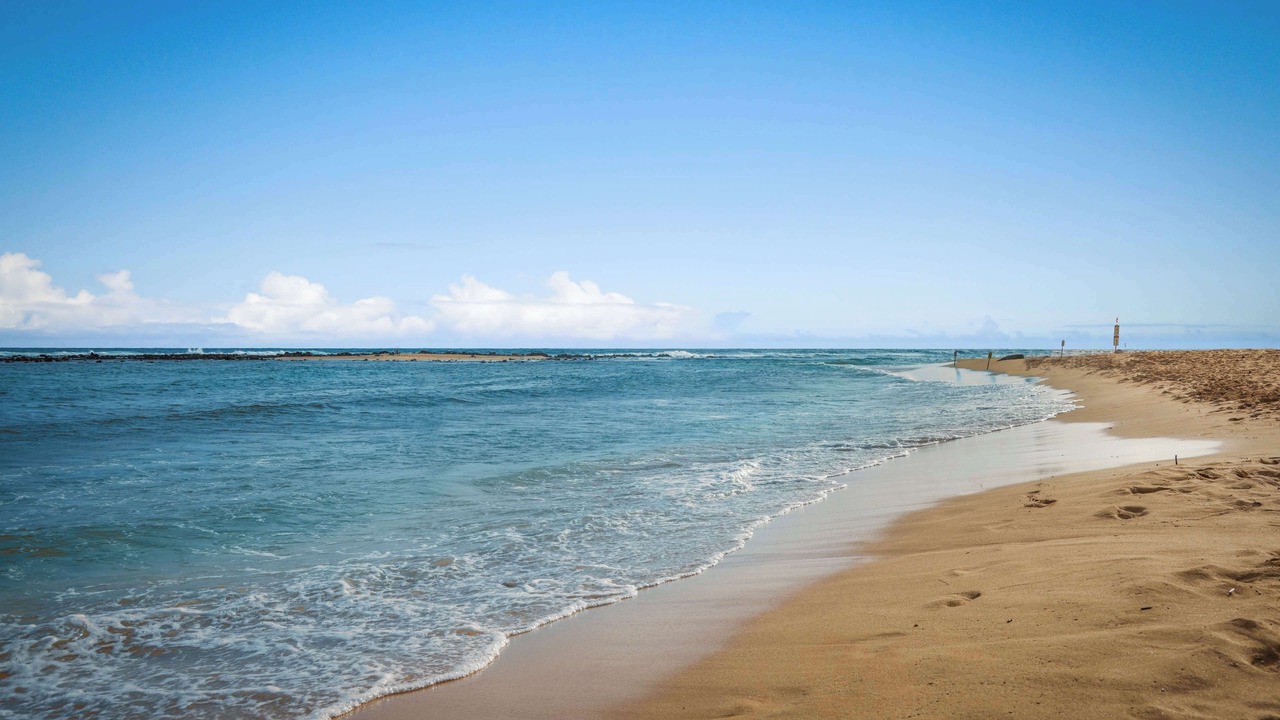 Photo of Others in Poipu