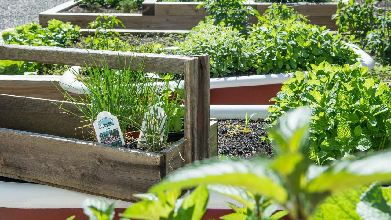 Photo of Outdoor in Absecon