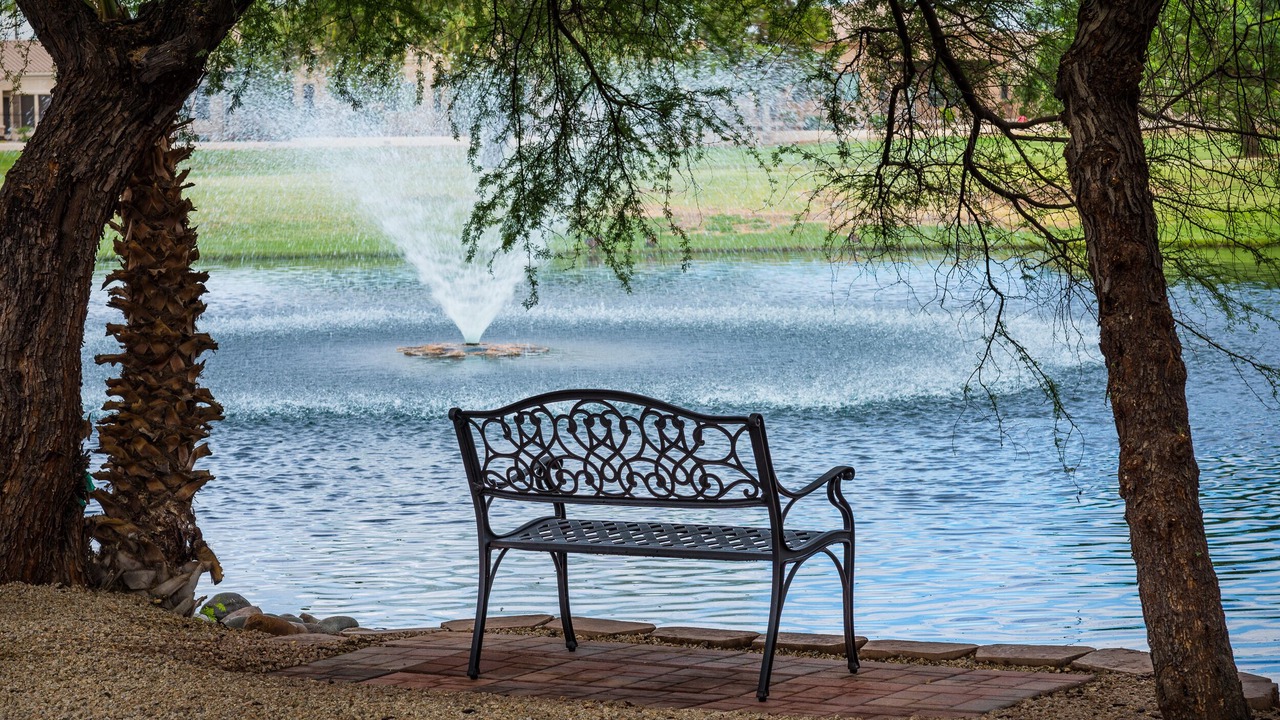 Photo of Outdoor in East Mesa