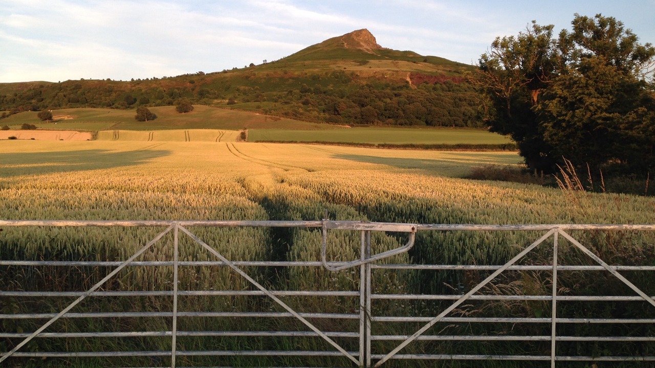 Photo of Others in Guisborough