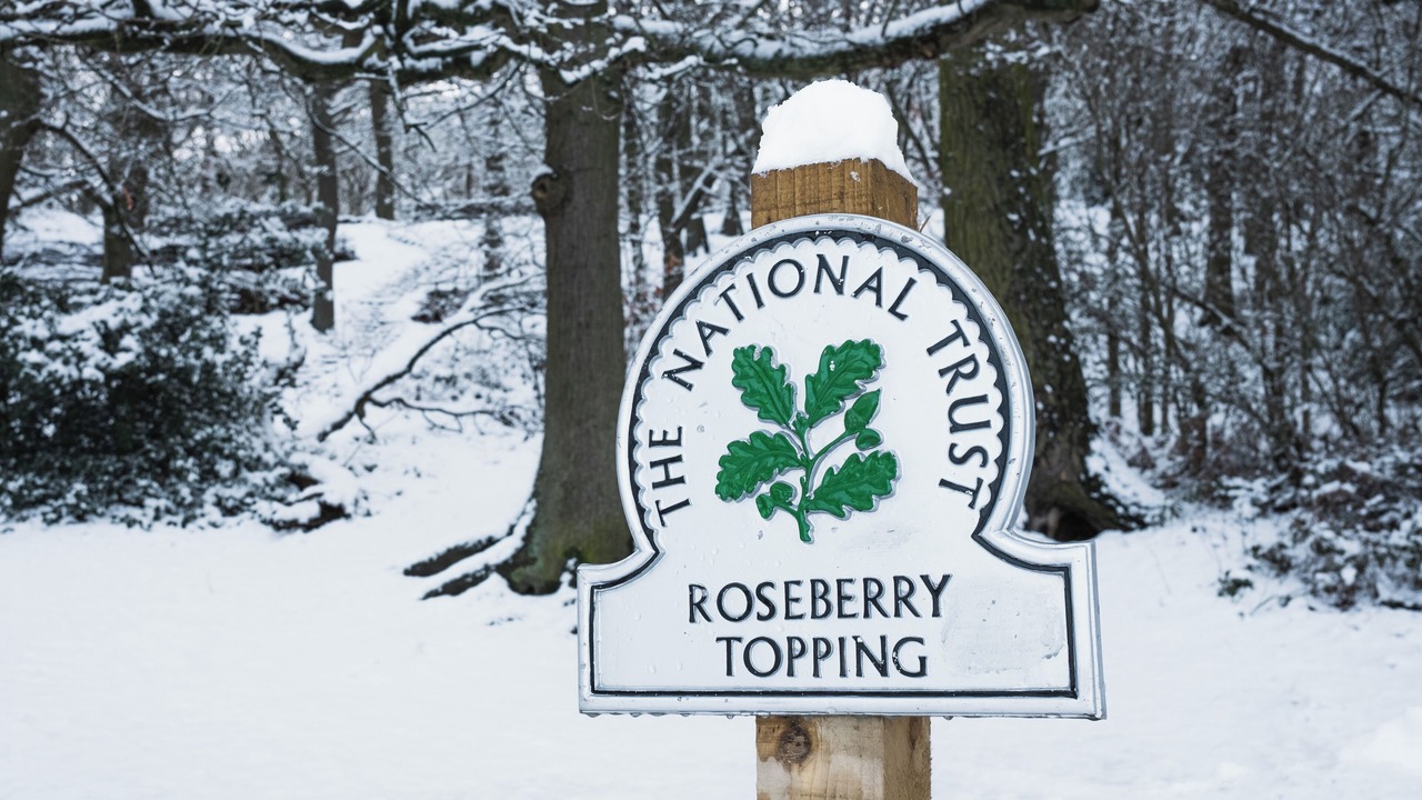 Photo of Others in Guisborough