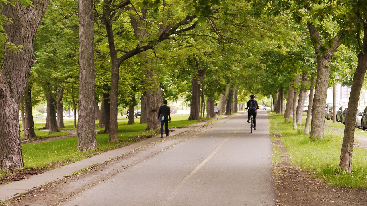 Photo of Outdoor in Plateau Mont Royal