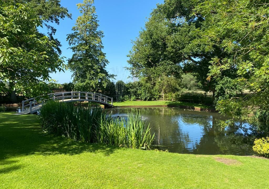 Photo of Outdoor in Chelmsford