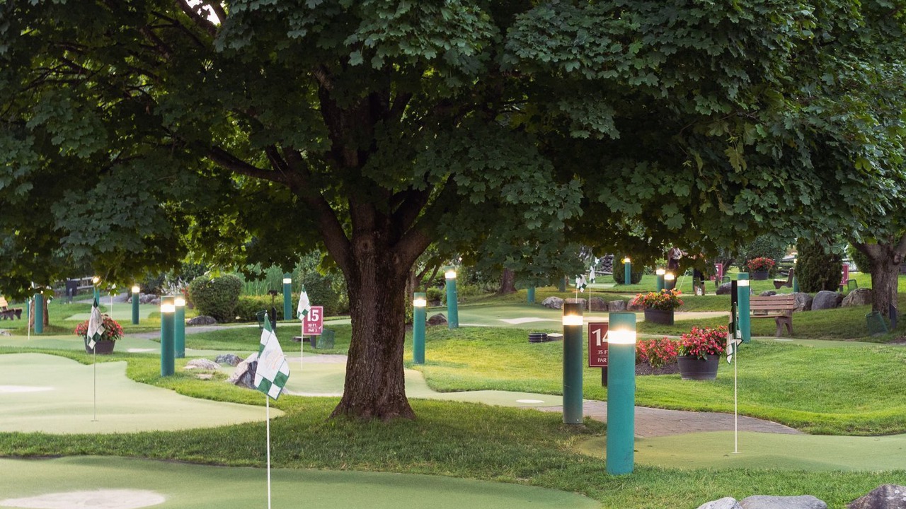 Photo of Others in Stowe Area