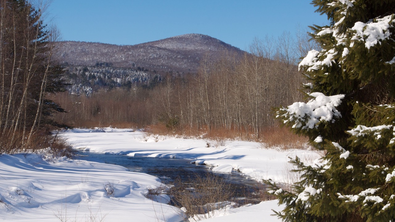Photo of Others in Stowe Area