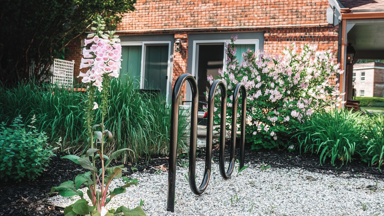 Photo of Others in Northampton