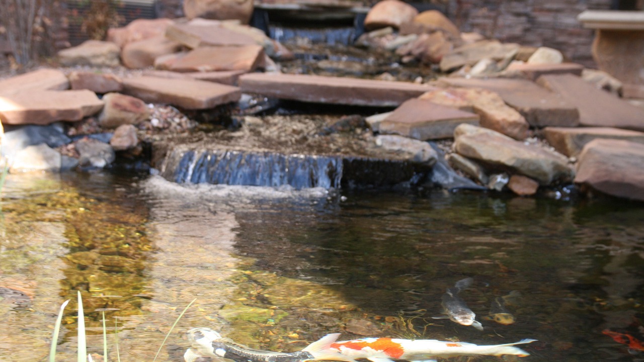 Photo of Outdoor in Stillwater