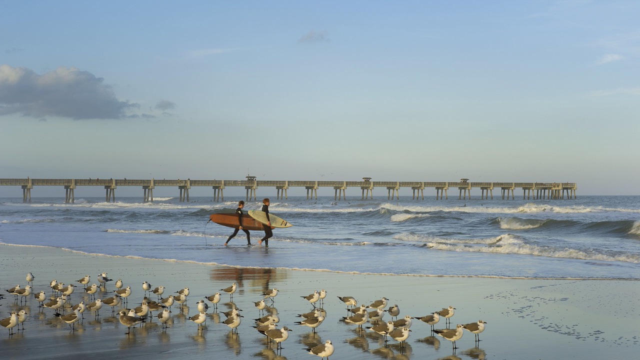 Photo of Others in Jacksonville Beach