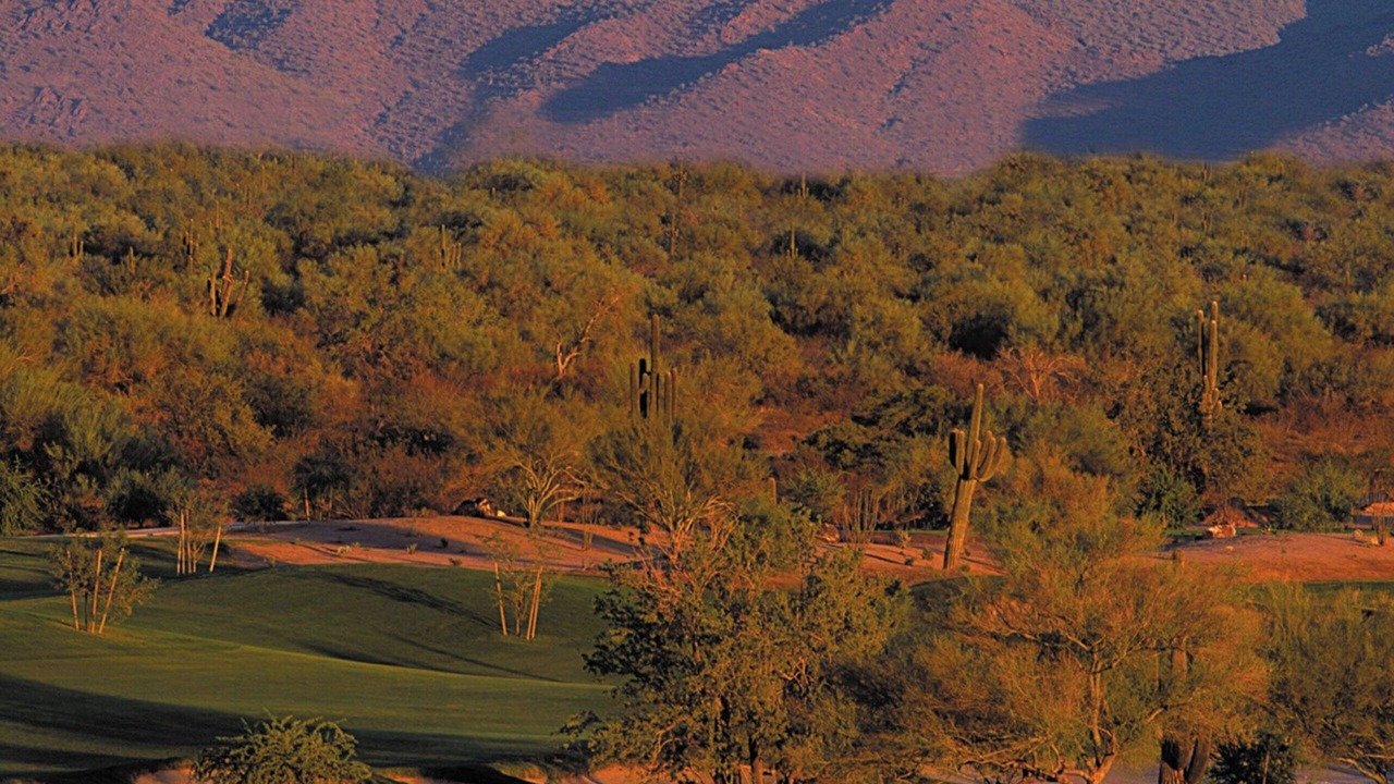 Photo of Others in Desert Ridge