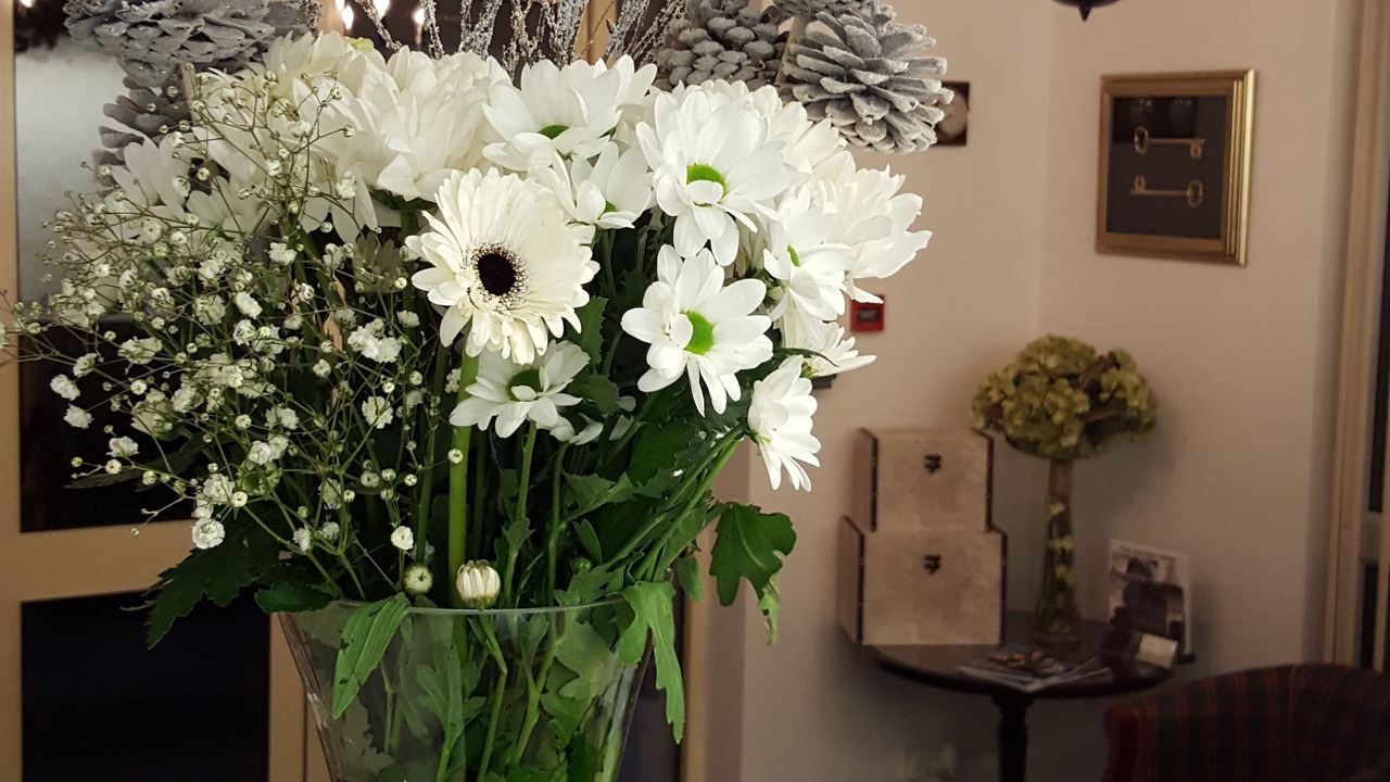 Photo of Others in Hillsborough