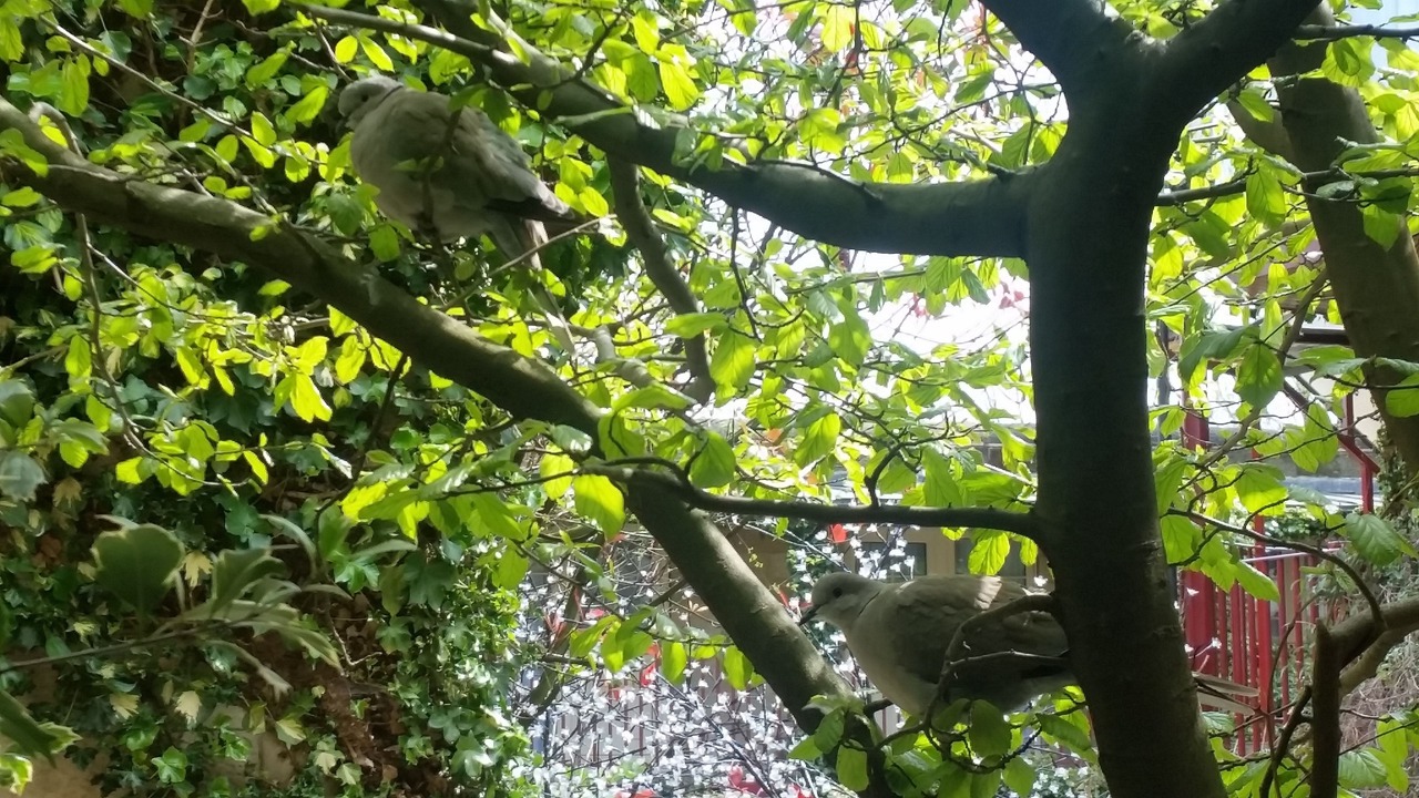 Photo of Outdoor in Hillsborough