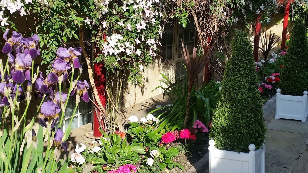 Photo of Outdoor in Hillsborough