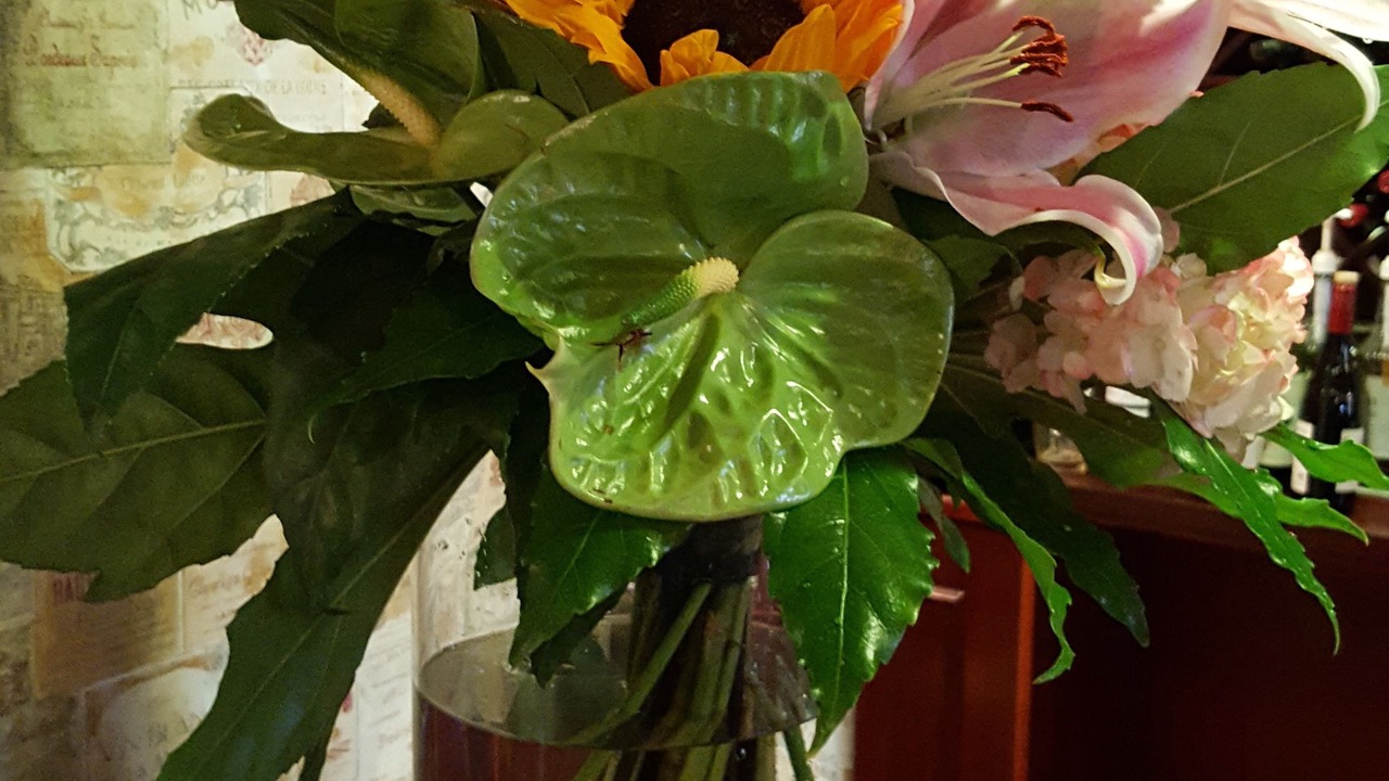 Photo of Others in Hillsborough