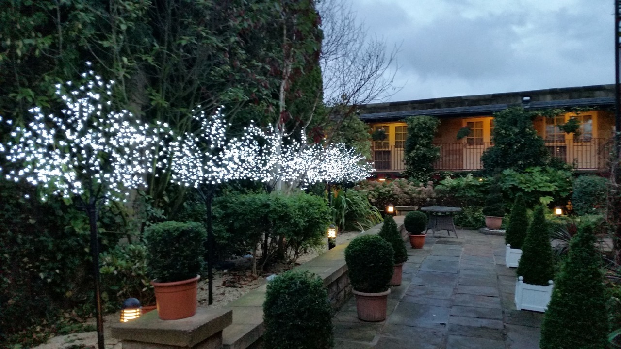 Photo of Outdoor in Hillsborough