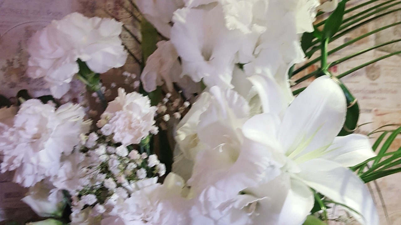 Photo of Others in Hillsborough