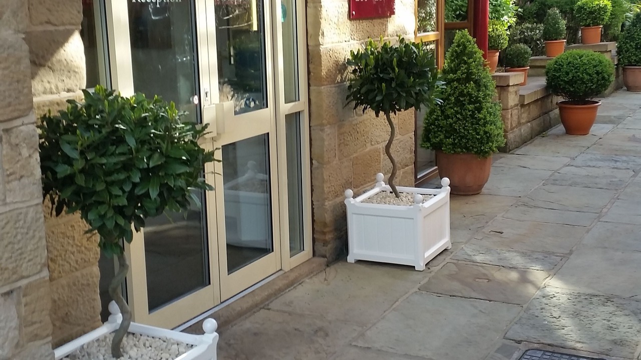 Photo of Outdoor in Hillsborough