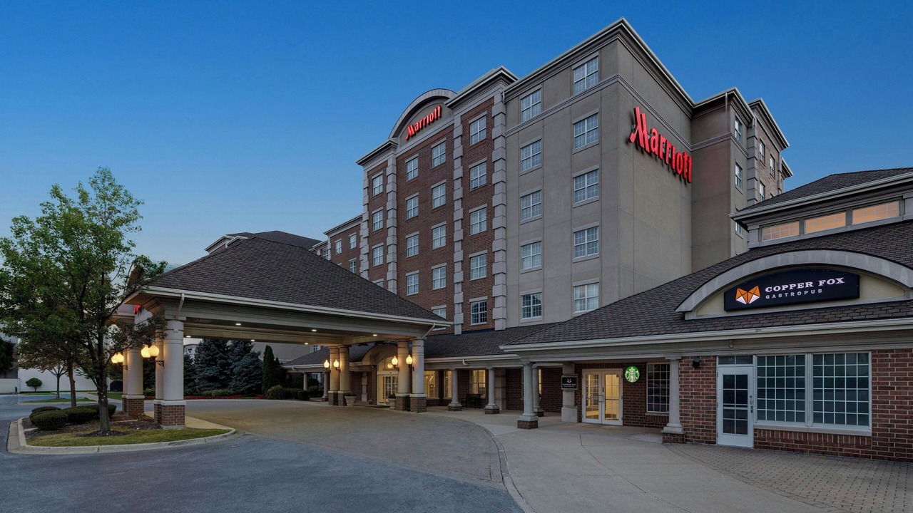 Photo of Others in Clearing