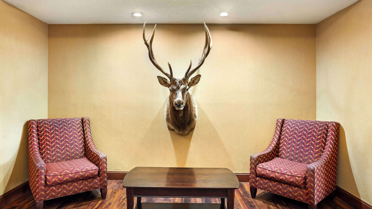 Photo of Others in Clearfield