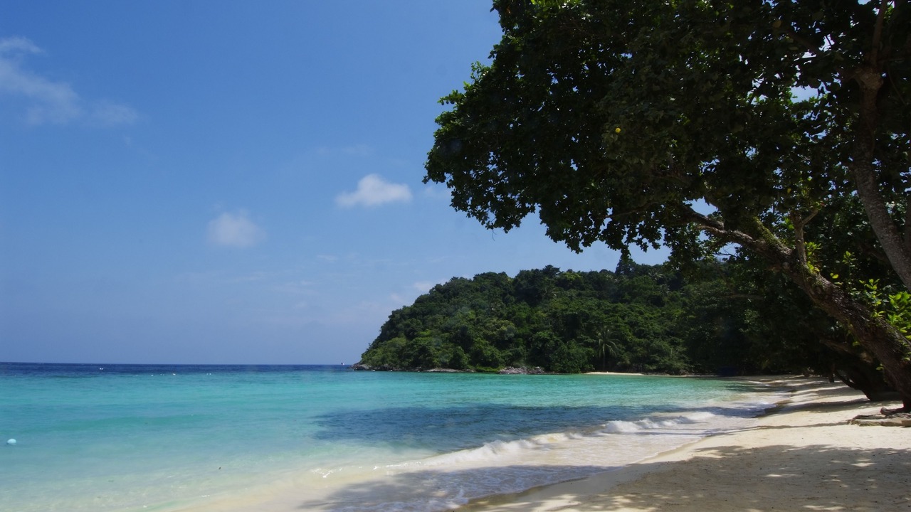 Photo of Others in Kampung Kerta Pulas