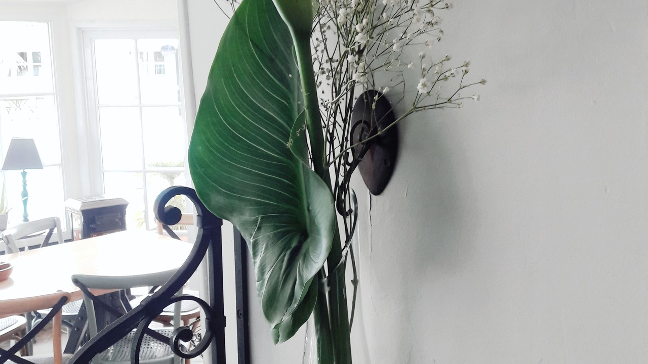 Photo of Others in Challans