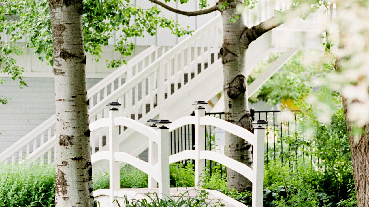 Photo of Outdoor in Ashland