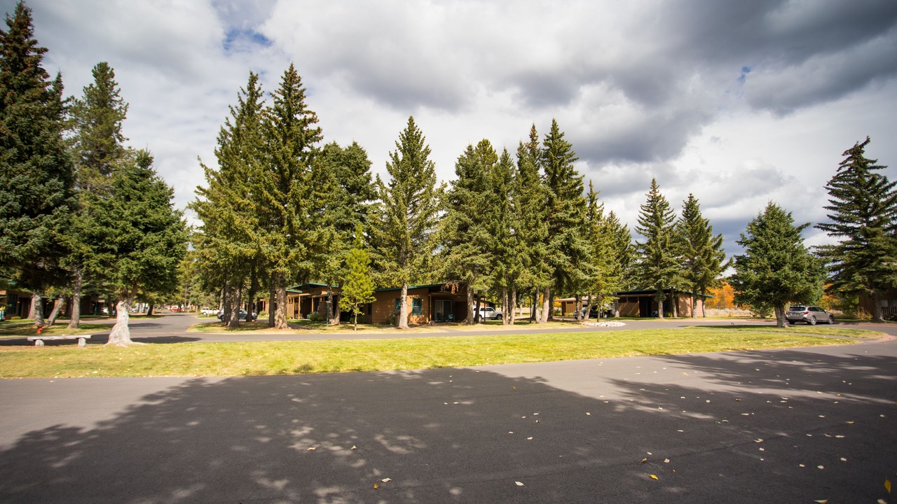 Photo of Others in Moran