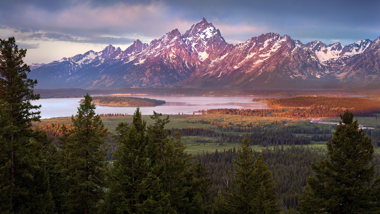 Photo of Others in Moran