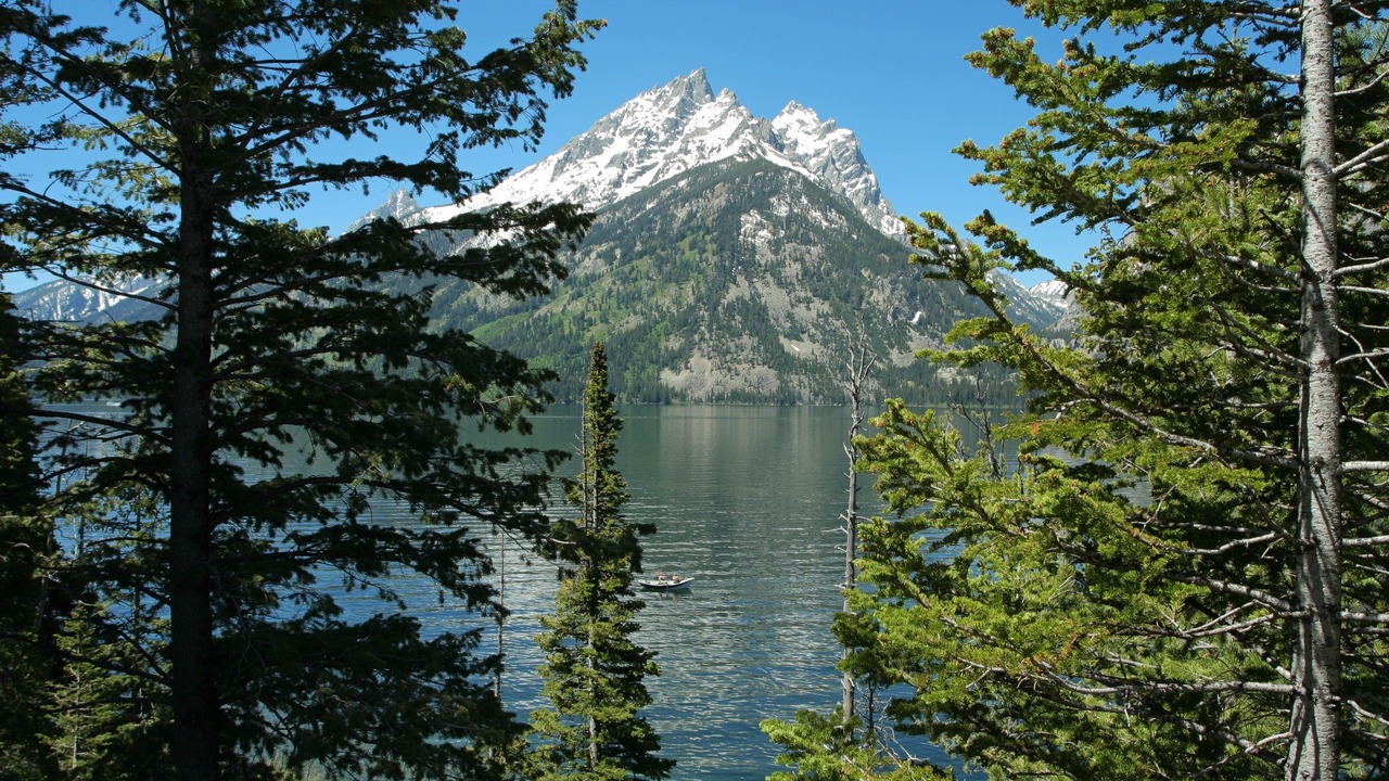 Photo of Others in Moran