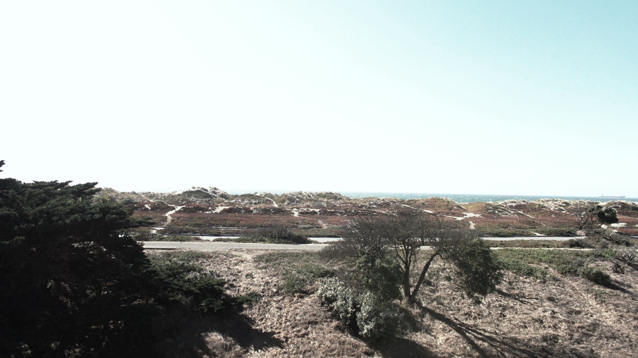 Photo of Outdoor in Outer Sunset