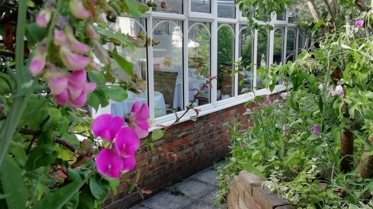 Photo of Outdoor in Sittingbourne