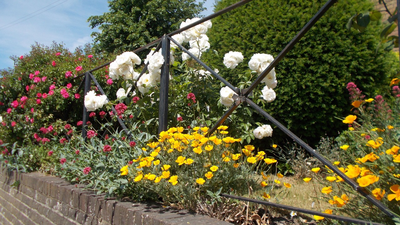 Photo of Outdoor in Sittingbourne