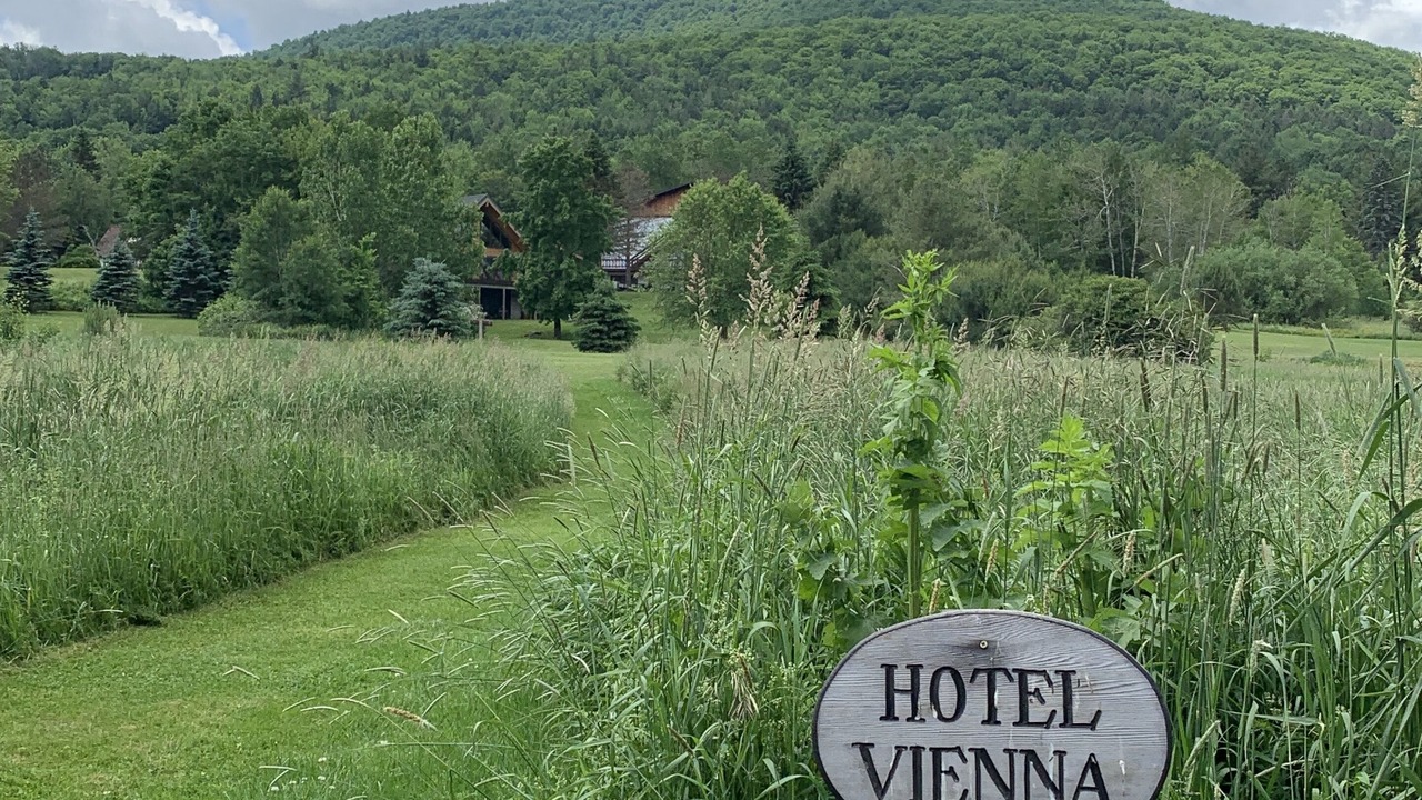 Photo of Outdoor in Windham