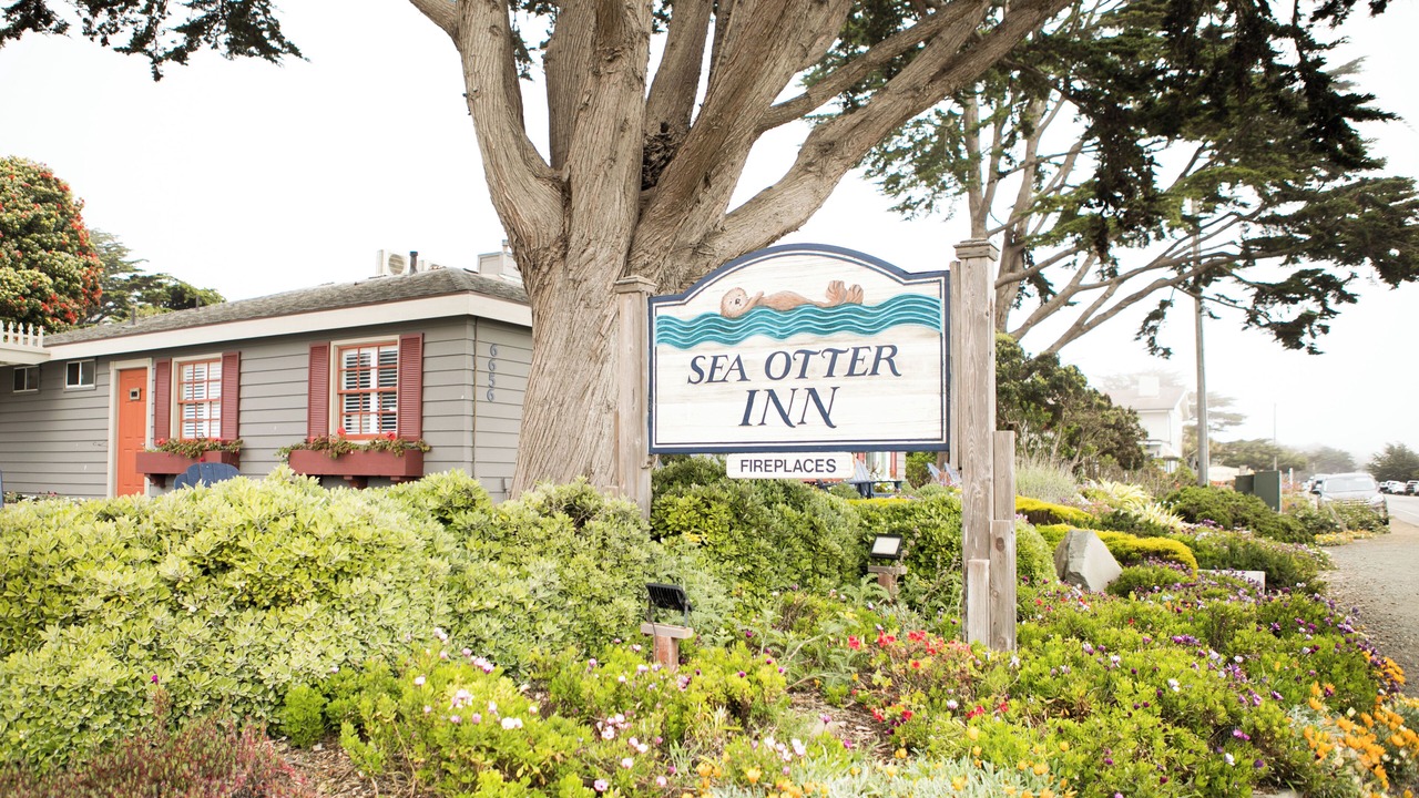 Photo of Outdoor in San Simeon