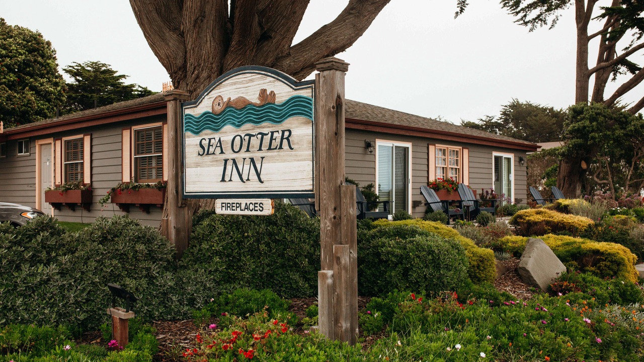 Photo of Outdoor in San Simeon