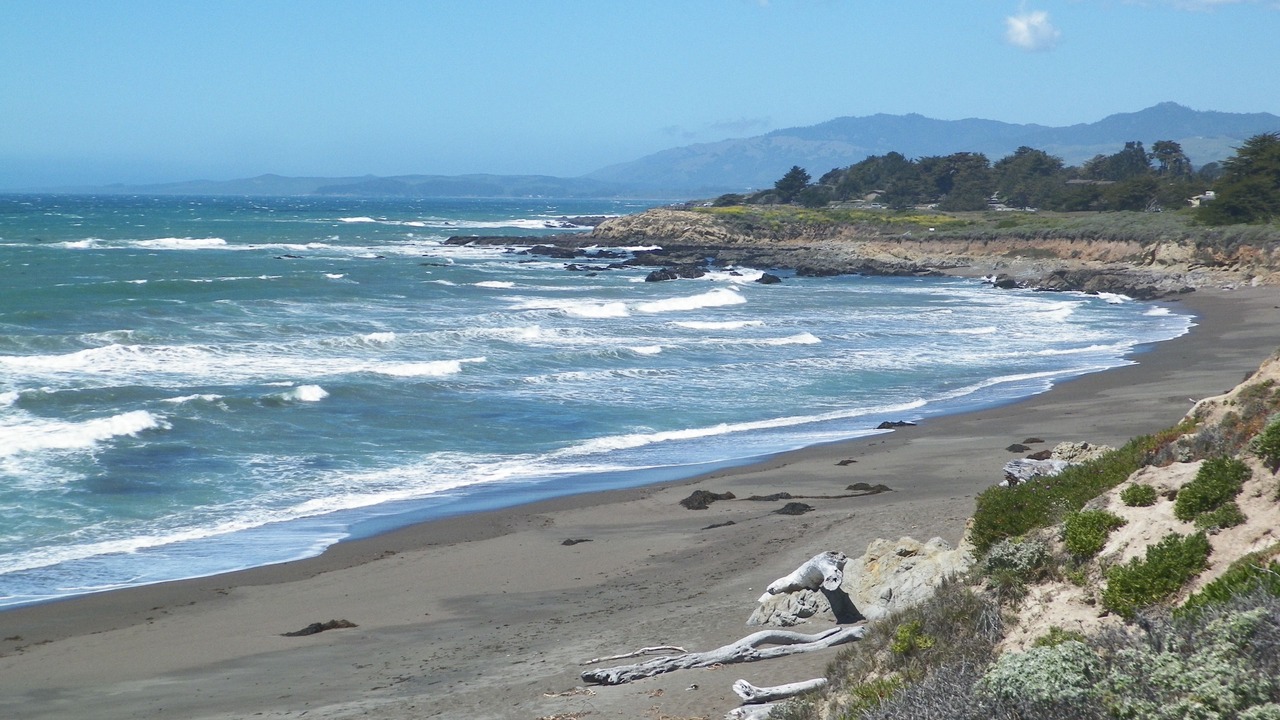 Photo of Others in San Simeon