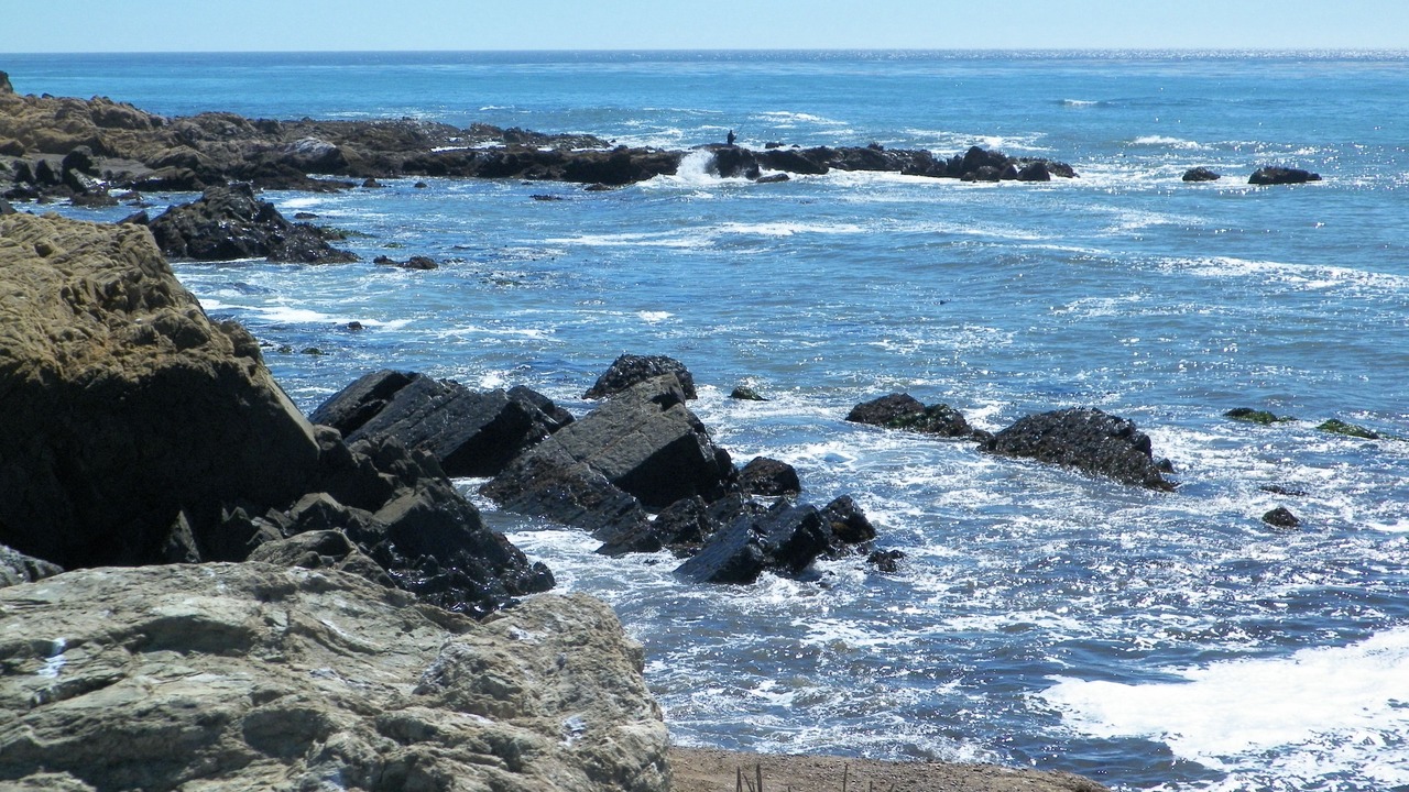 Photo of Others in San Simeon