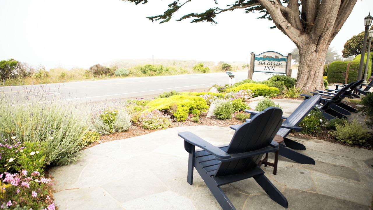 Photo of Outdoor in San Simeon