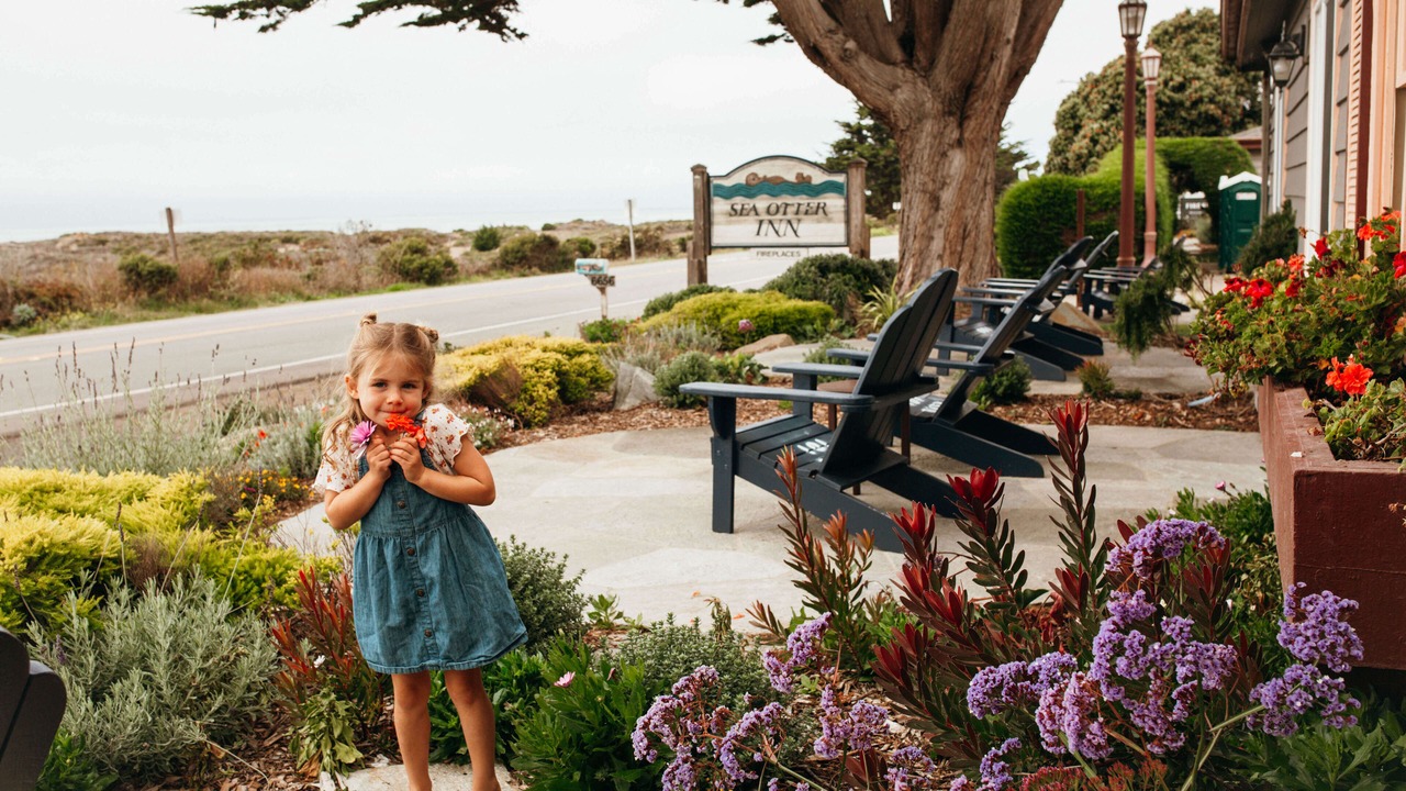 Photo of Outdoor in San Simeon