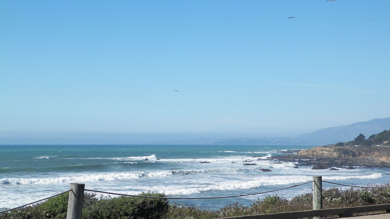 Photo of Others in San Simeon