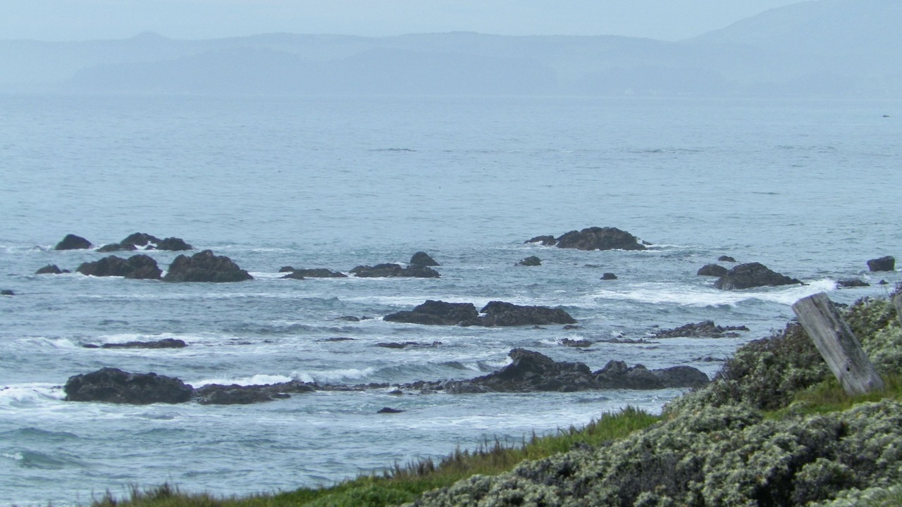Photo of Others in San Simeon
