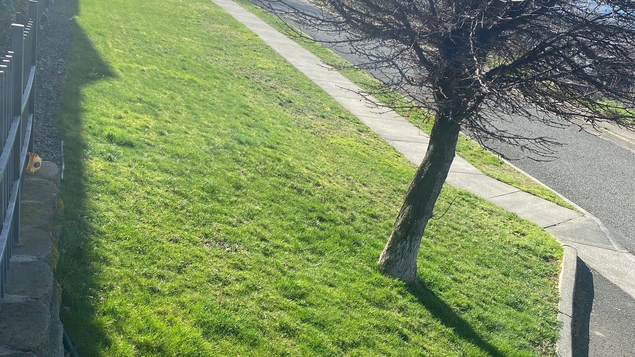Photo of Bedroom in Lewiston