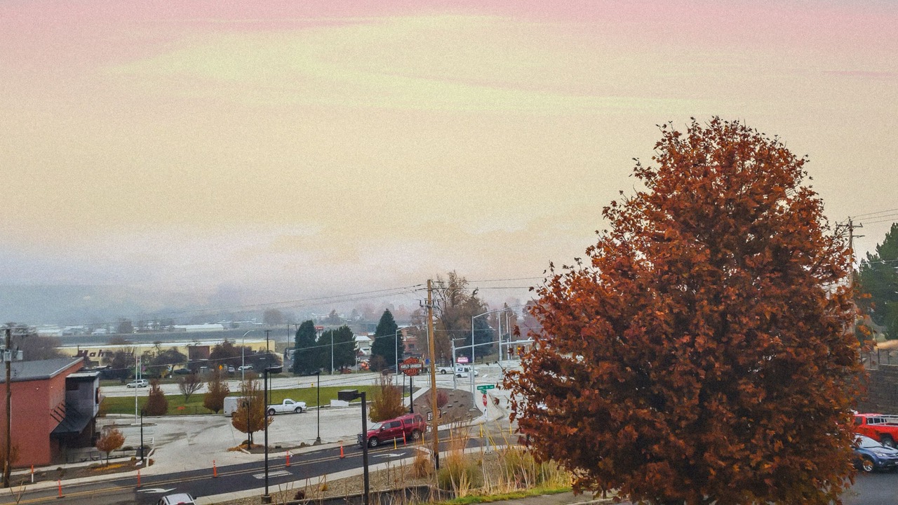 Photo of Others in Lewiston