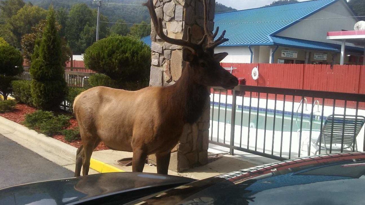 Photo of Others in Cherokee