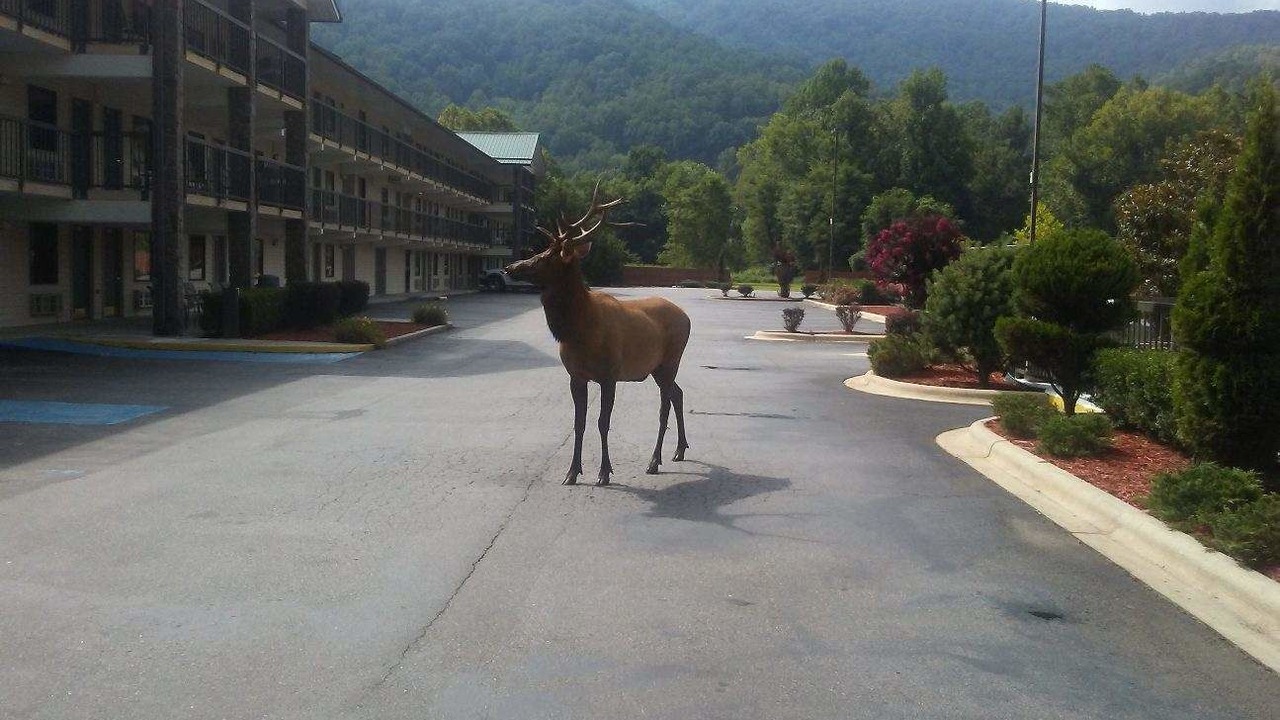 Photo of Others in Cherokee