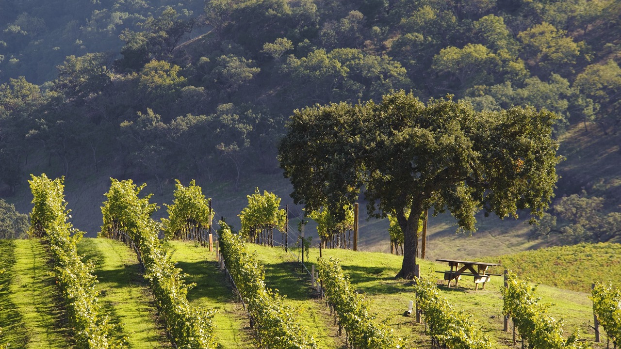 Photo of Others in San Martin