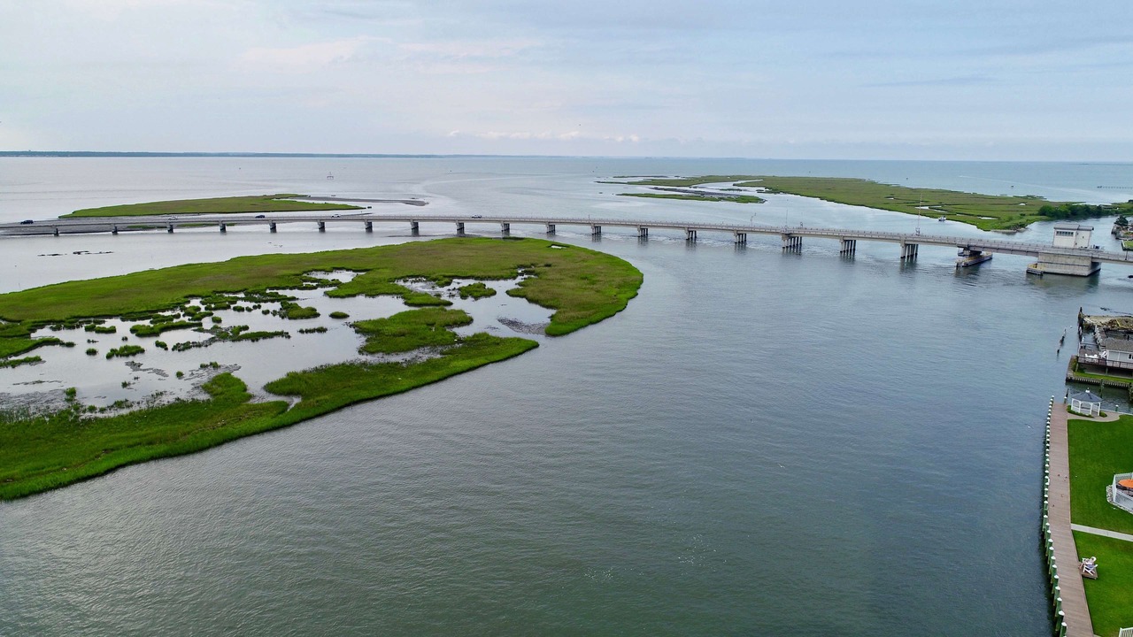 Photo of Outdoor in Chincoteague