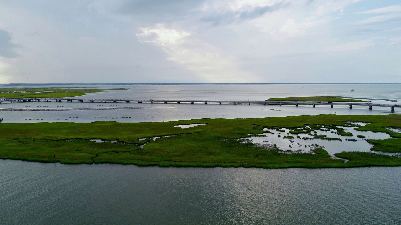 Photo of Outdoor in Chincoteague