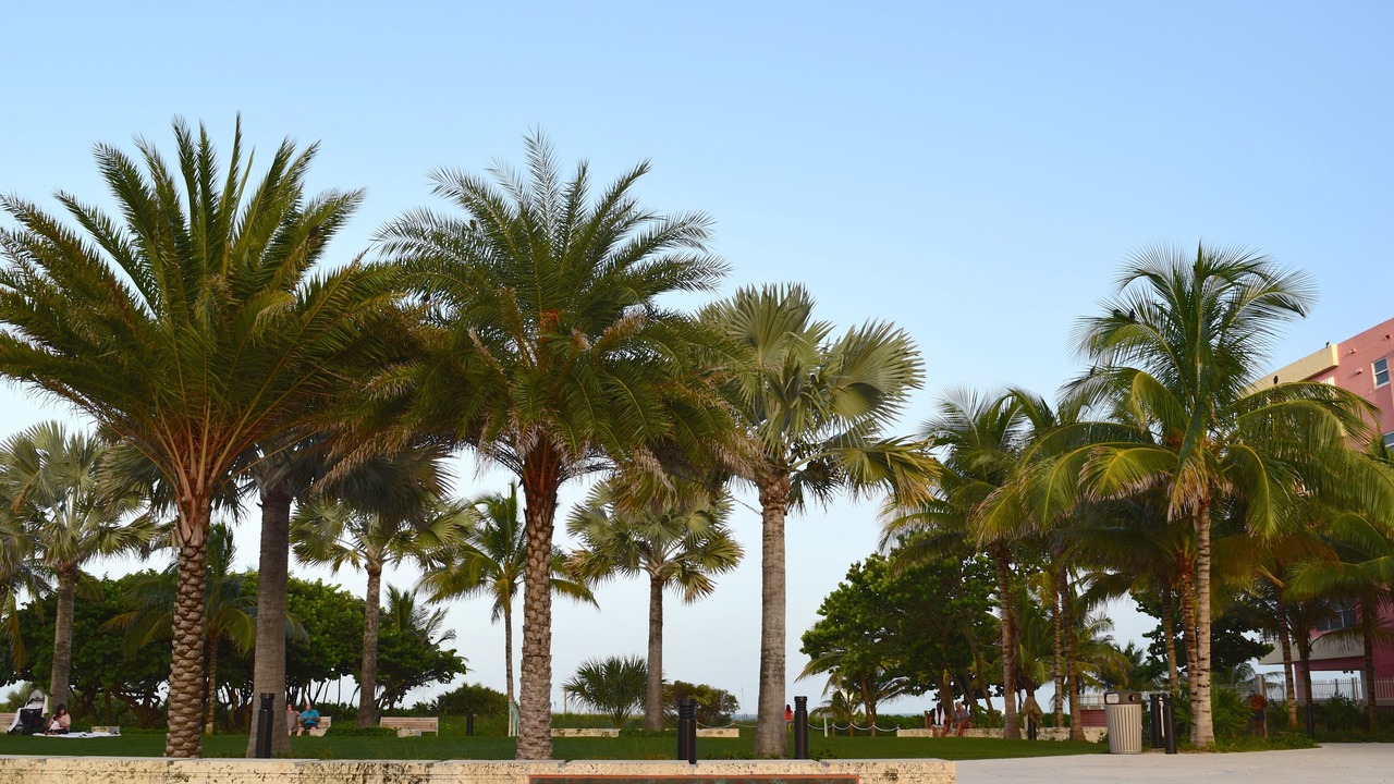Photo of Others in Pompano Beach