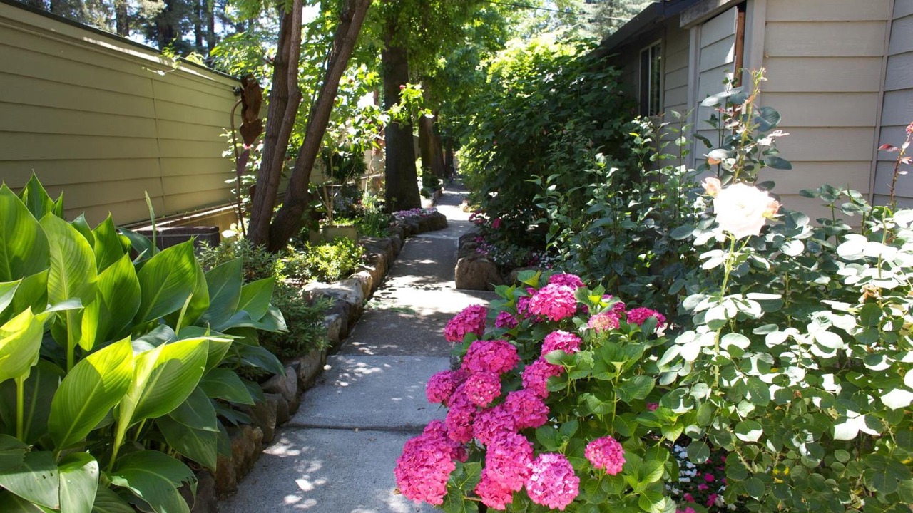 Photo of Outdoor in Guerneville