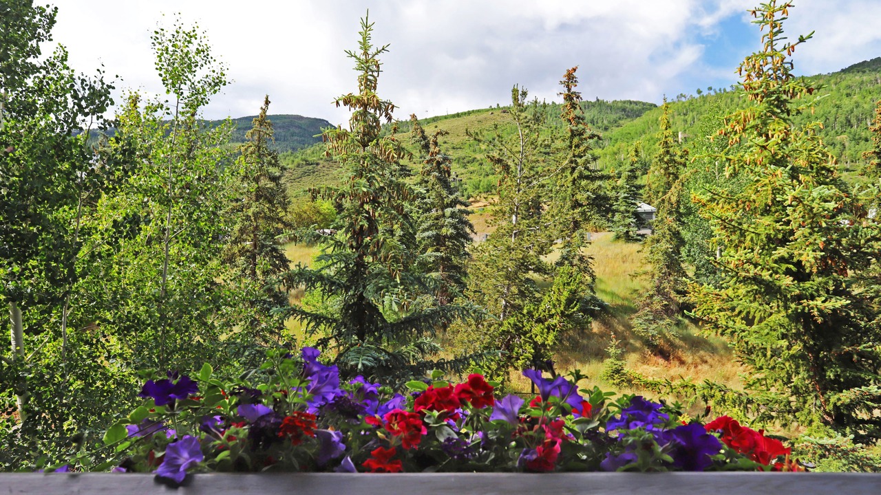 Photo of Bedroom in Vail